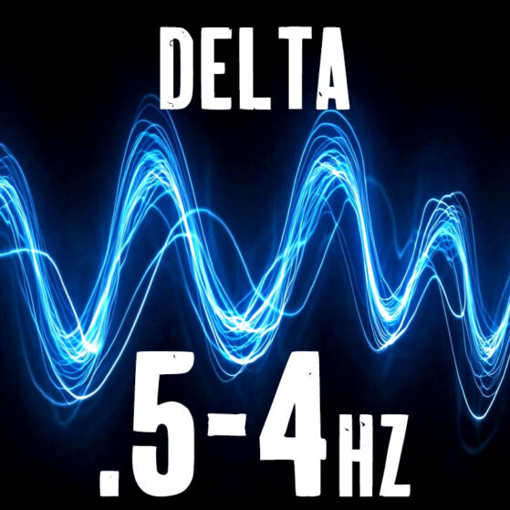 h5