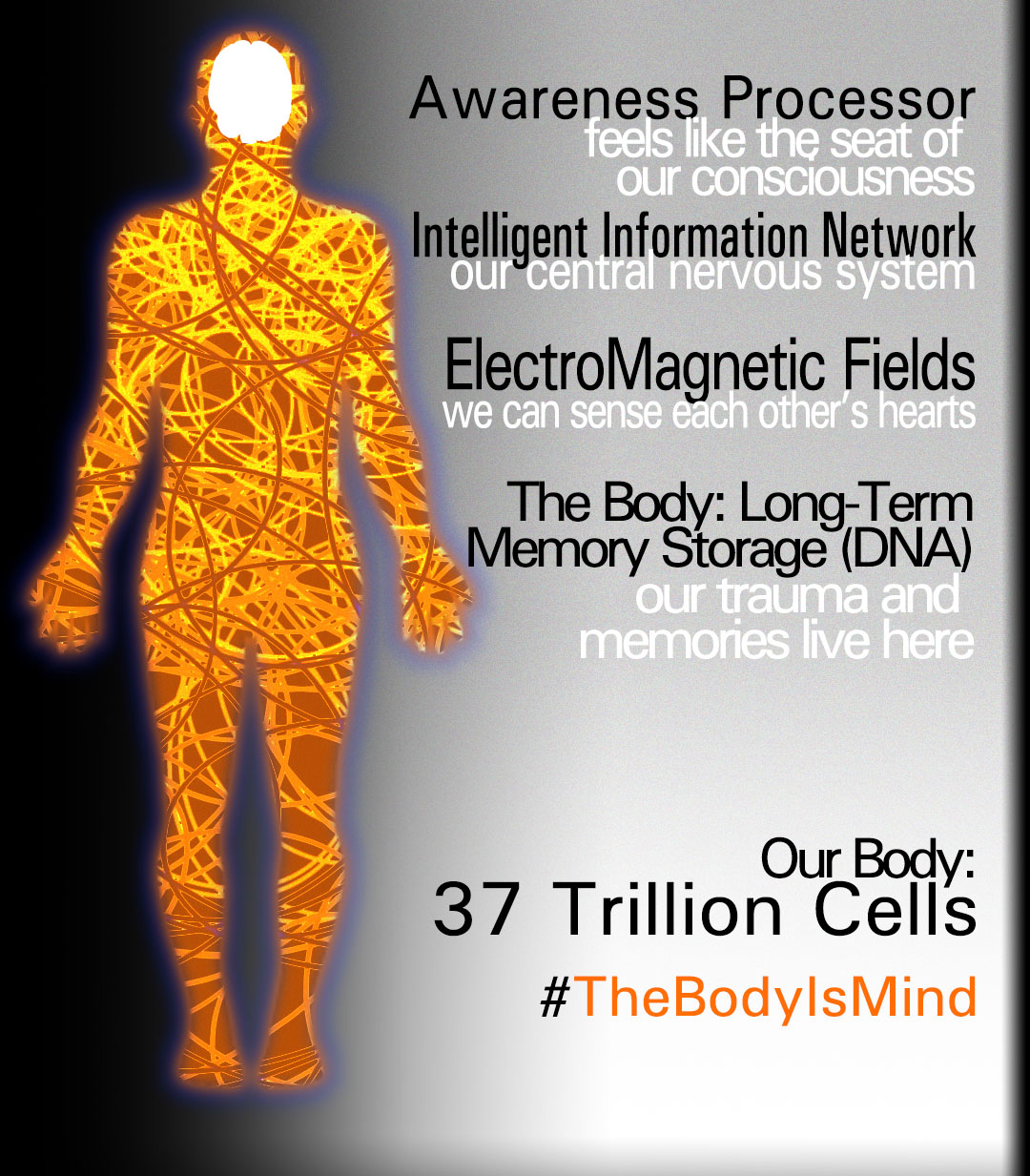 Our Body is 37 Trillion Cells