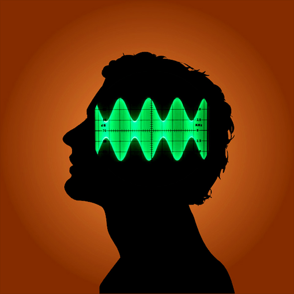 Brainwave Entrainment Head