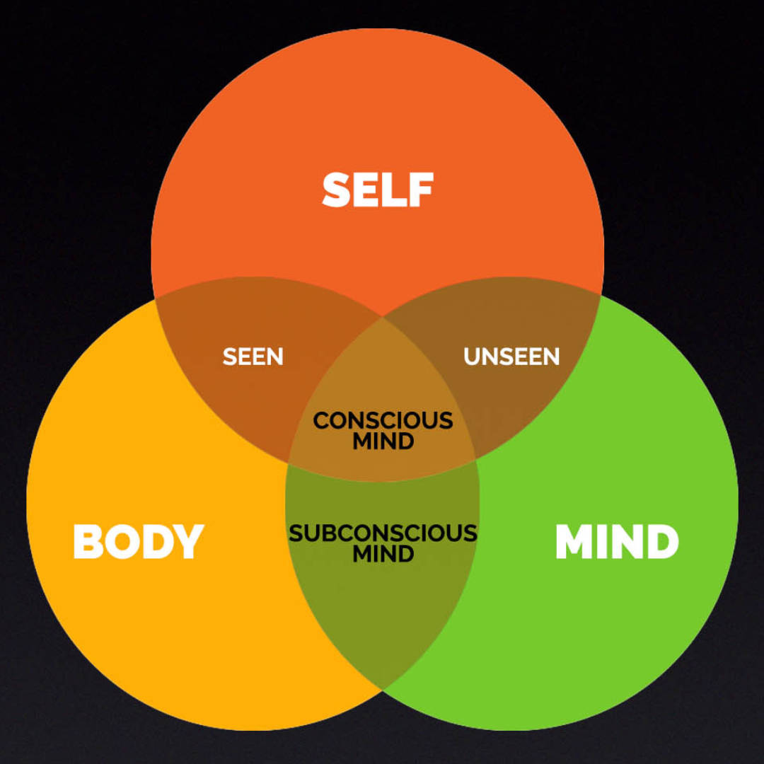 The Body Is Mind VEN Diagram 1080
